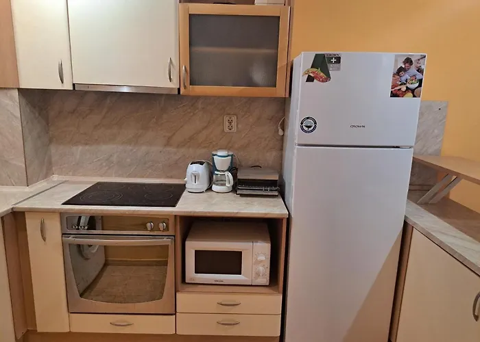 принцес 布尔加斯